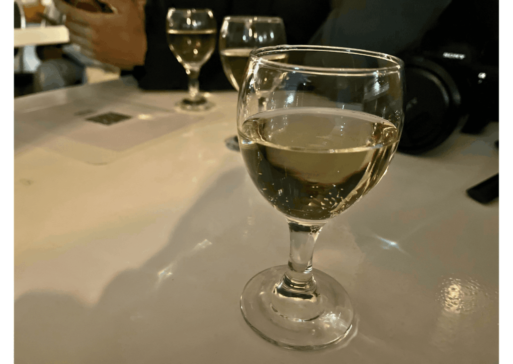 ドナウ川から見るブダペストの夜が美しすぎた【夜景クルーズ体験レポ】