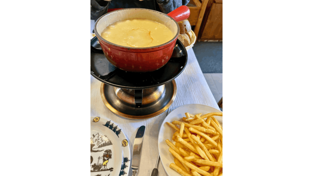 ジュネーブは本当に高い？リヨンから日帰りで行って分かったリアルな料金と所要時間