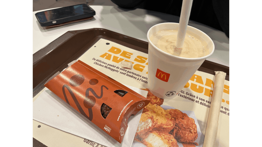 ジュネーブは本当に高い？リヨンから日帰りで行って分かったリアルな料金と所要時間