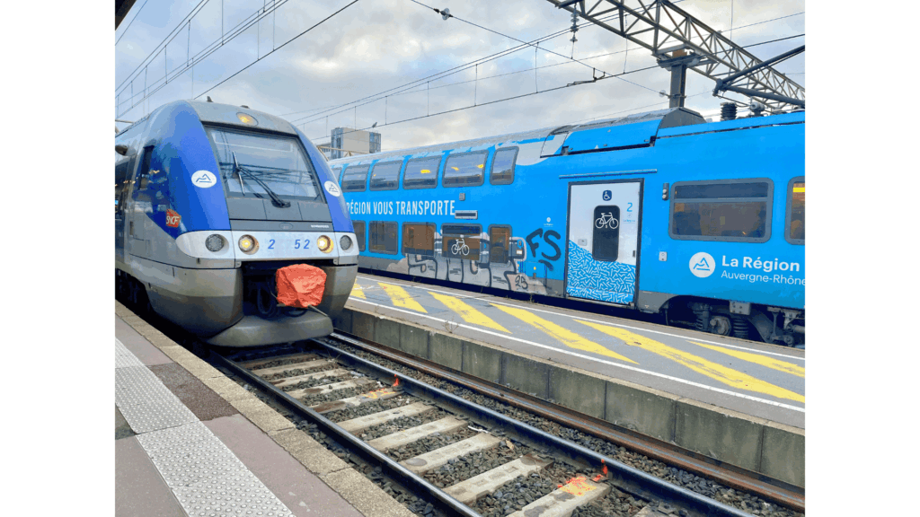 ジュネーブは本当に高い？リヨンから日帰りで行って分かったリアルな料金と所要時間