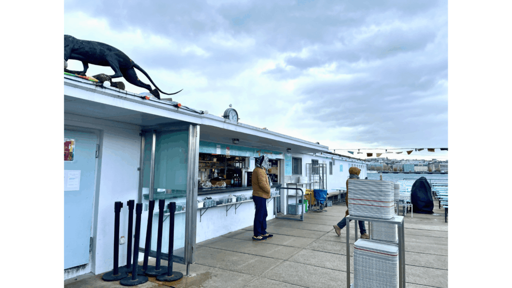 ジュネーブは本当に高い？リヨンから日帰りで行って分かったリアルな料金と所要時間